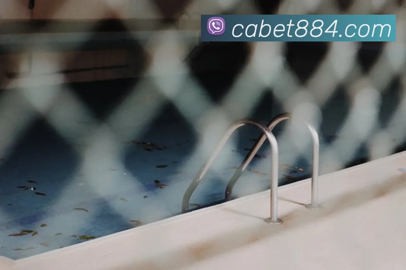 ca亚洲城服务体系